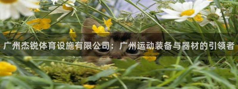 凯捷体育官网：广州杰锐体育设施有限公司：广州运动装备与器材的