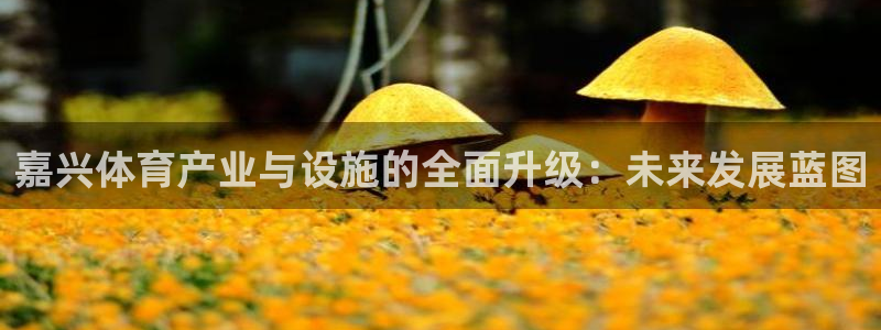海南凯捷体育：嘉兴体育产业与设施的全面升级：未来发展蓝图