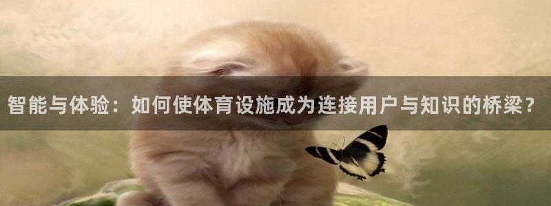 凯捷体育娱乐：智能与体验：如何使体育设施成为连接用户与知识的