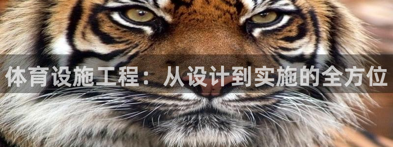 凯捷体育开户：体育设施工程：从设计到实施的全方位 
