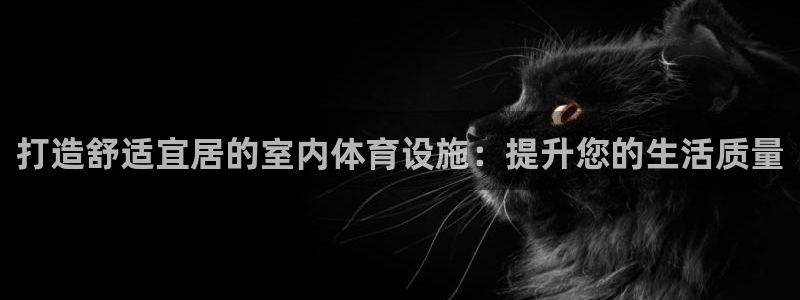 凯捷体育娱乐网站：打造舒适宜居的室内体育设施：提升您