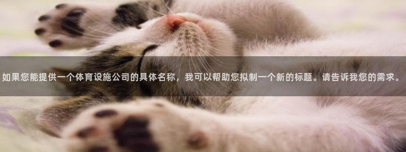 德国凯捷体育集团