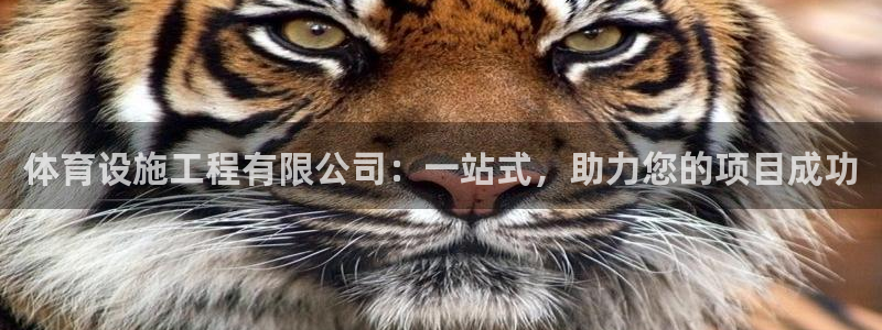 凯捷体育集团：体育设施工程有限公司：一站式，助力您的