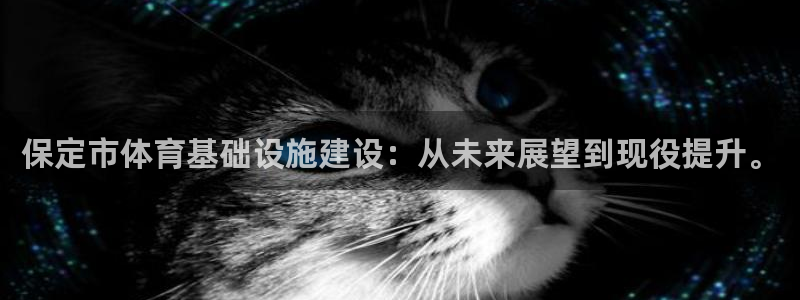 德国凯捷体育集团：保定市体育基础设施建设：从未来展望