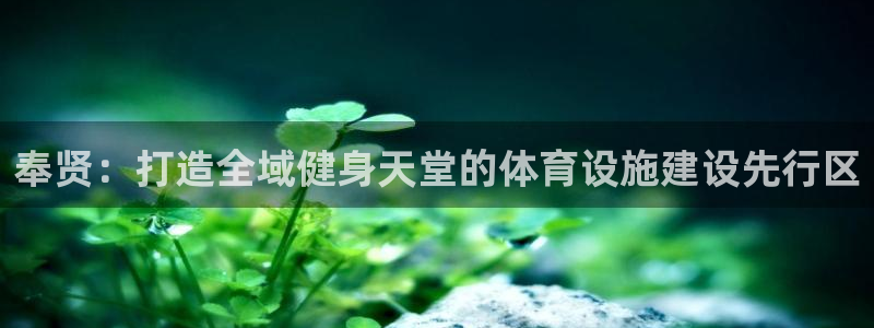 凯捷体育集团官网首页网址：奉贤：打造全域健身天堂的体