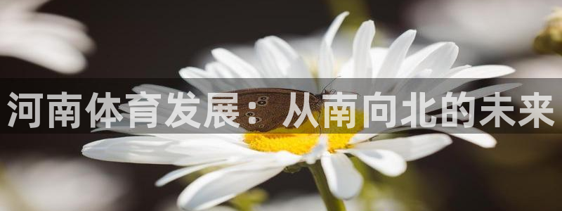 凯捷体育招商电话地址：河南体育发展：从南向北的未来