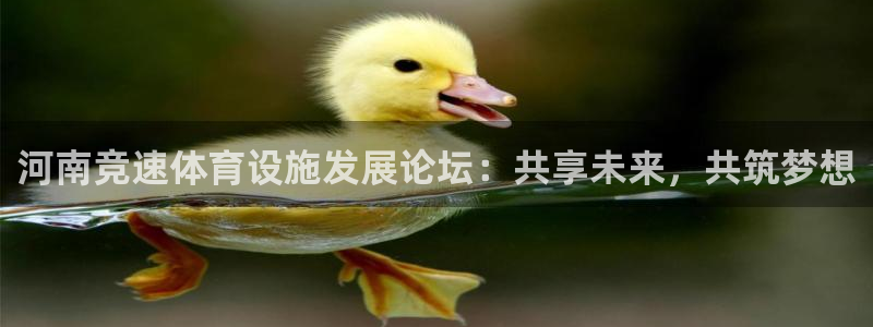 海南凯捷体育