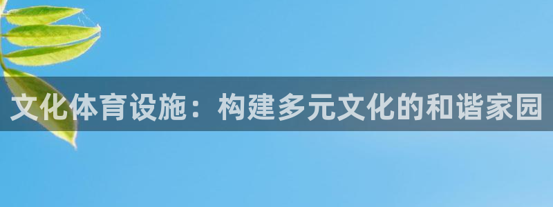 凯捷体育注册：文化体育设施：构建多元文化的和谐家园