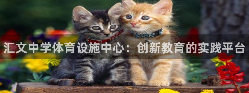 凯捷体育官方：汇文中学体育设施中心：创新教育的实践平