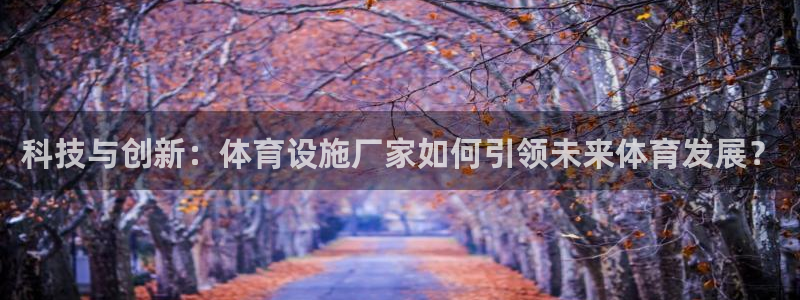 凯捷体育娱乐平台：科技与创新：体育设施厂家如何引领未来体育发