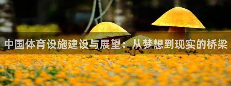 凯捷体育集团官网网址：中国体育设施建设与展望：从梦想到现实的