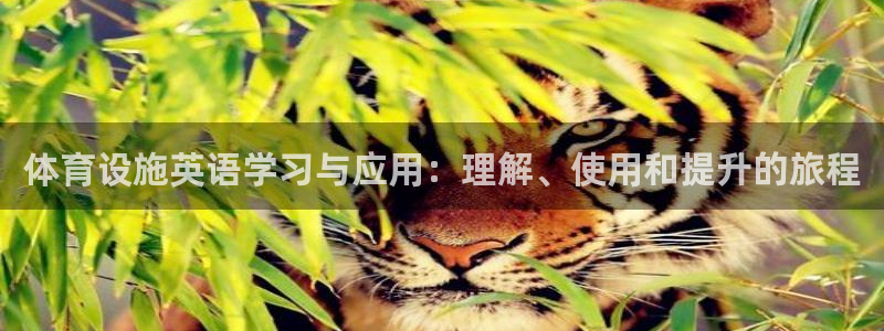 注册凯捷体育：体育设施英语学习与应用：理解、使用和提升的旅程