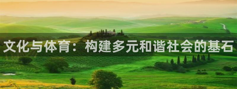 凯捷集团官网：文化与体育：构建多元和谐社会的基石