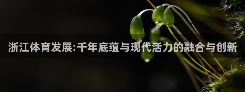凯捷体育是干嘛的公司：浙江体育发展:千年底蕴与现代活力的融合