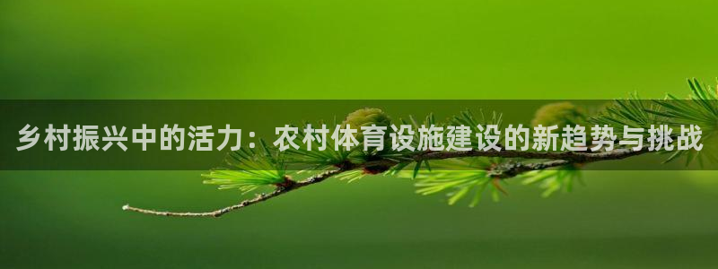 凯捷体育招商电话号码是多少：乡村振兴中的活力：农村体育设施建