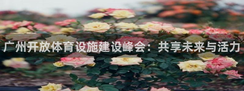 凯捷体育代理：广州开放体育设施建设峰会：共享未来与活力