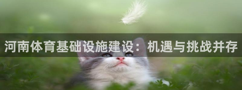 凯捷体育集团E.ON：河南体育基础设施建设：机遇与挑