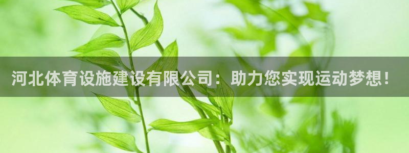 凯捷体育新能源：河北体育设施建设有限公司：助力您实现