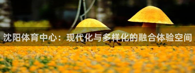 凯捷体育招商电话号码查询是多少：沈阳体育中心：现代化