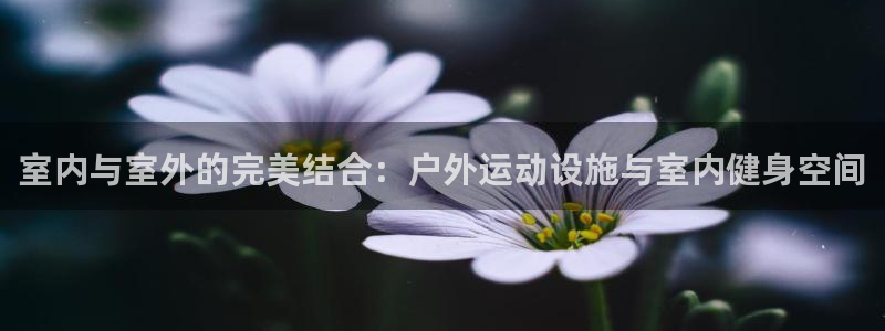 凯捷体育娱乐平台：室内与室外的完美结合：户外运动设施