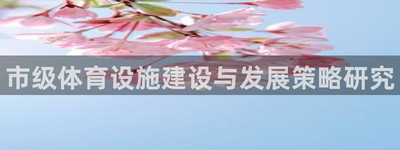 凯捷体育新能源