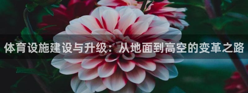 凯捷体育集团官网网址：体育设施建设与升级：从地面到高空的变革