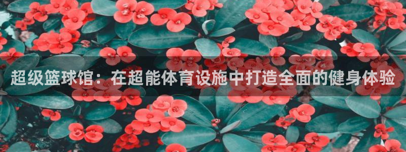 凯捷体育集团官网首页