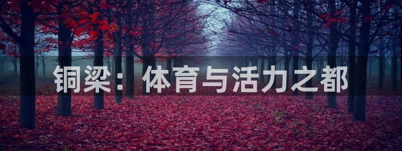 海南凯捷体育发展怎么样：铜梁：体育与活力之都