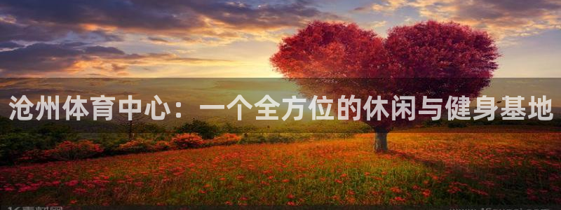 凯捷体育娱乐平台：沧州体育中心：一个全方位的休闲与健身基地