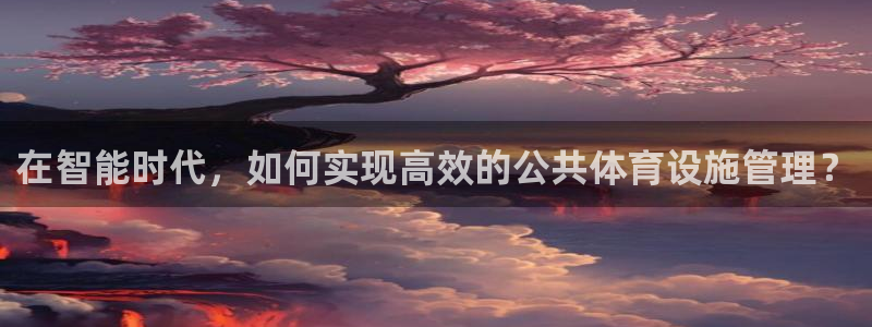 凯捷体育平台是正规平台吗：在智能时代，如何实现高效的公共体育 