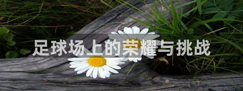 凯捷体育招商电话地址查询：足球场上的荣耀与挑战