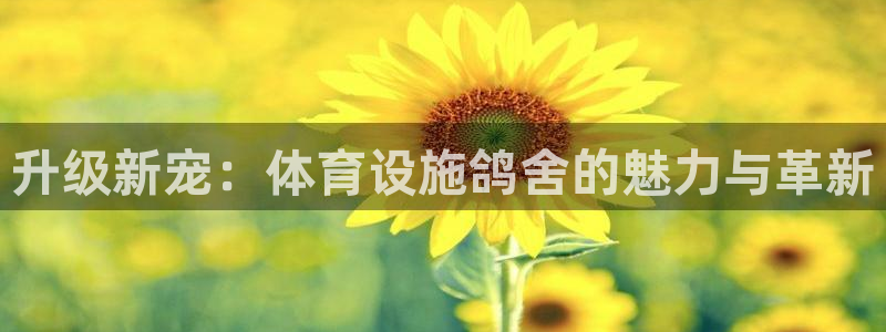 凯捷体育招商电话号码是多少：升级新宠：体育设施鸽舍的魅力与革