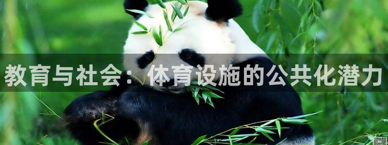 凯捷体育娱乐：教育与社会：体育设施的公共化潜力