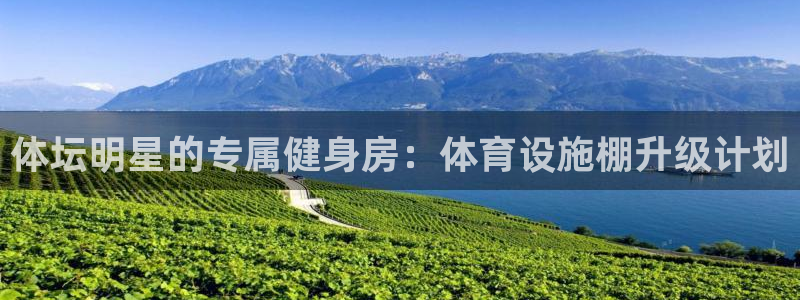 凯捷体育招商：体坛明星的专属健身房：体育设施棚升级计划