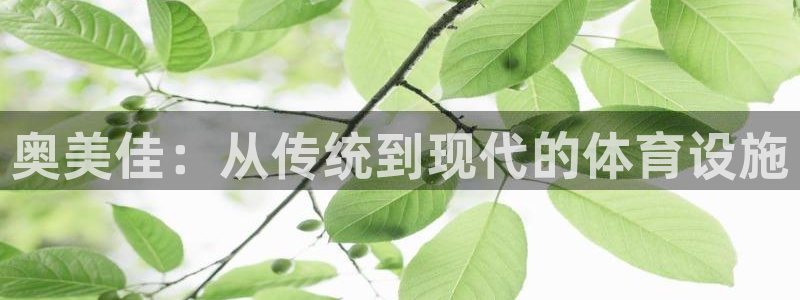 凯捷体育开户：奥美佳：从传统到现代的体育设施