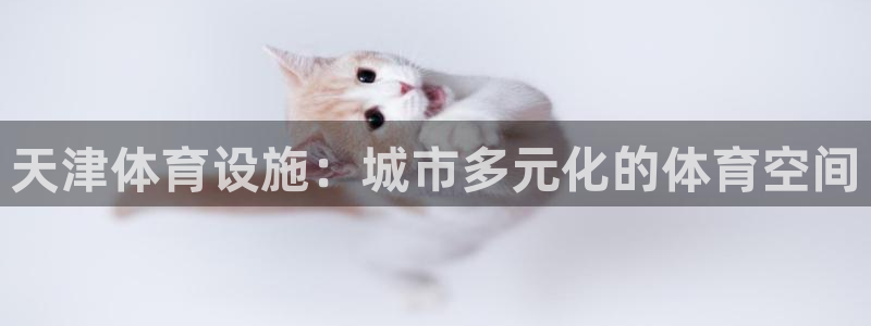凯捷体育平台假的吗是真的吗吗：天津体育设施：城市多元化的体育