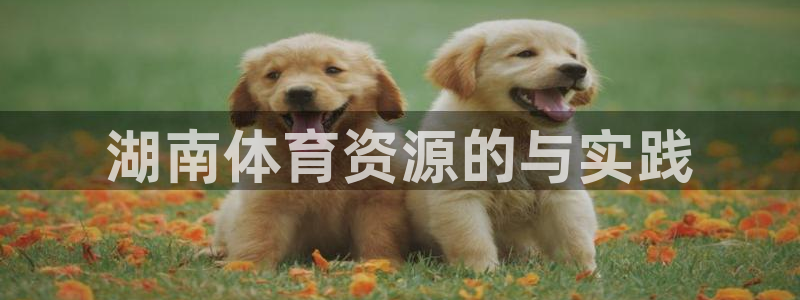 海南凯捷体育：湖南体育资源的与实践