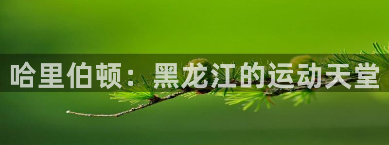 凯捷体育集团logo：哈里伯顿：黑龙江的运动天堂