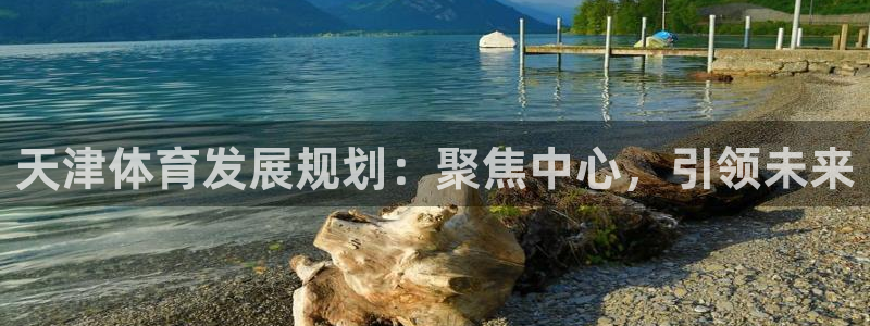 凯捷体育软件：天津体育发展规划：聚焦中心，引领未来