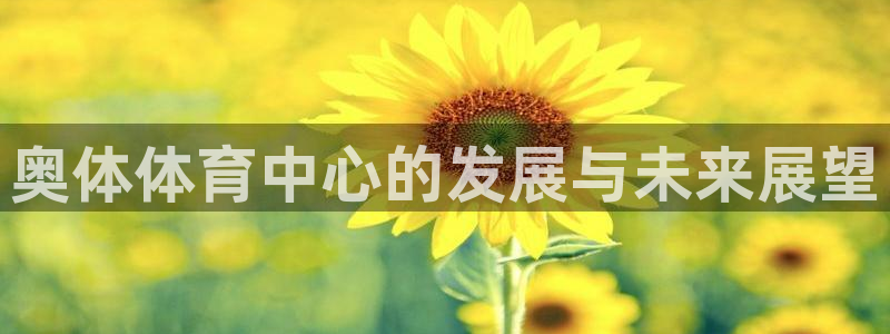 凯捷体育平台注册流程图：奥体体育中心的发展与未来展望