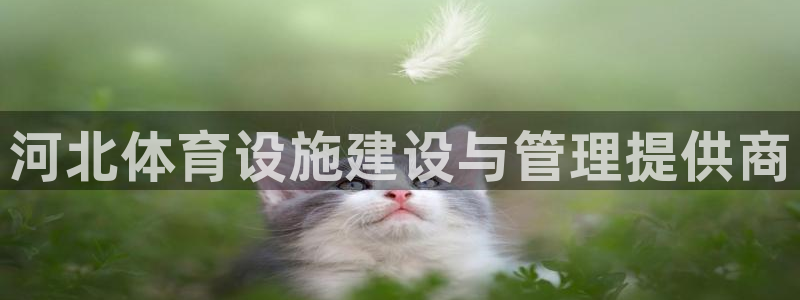 凯捷体育平台注册：河北体育设施建设与管理提供商 