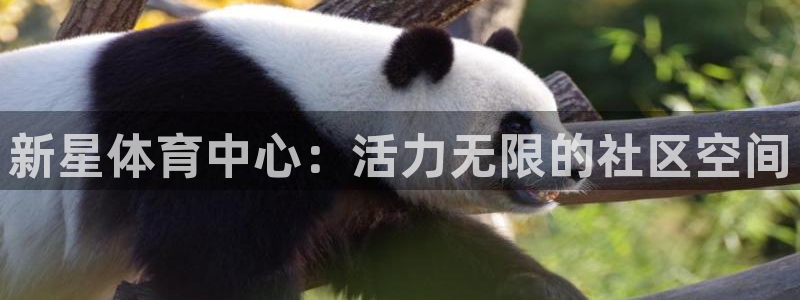 德国凯捷体育集团：新星体育中心：活力无限的社区空间