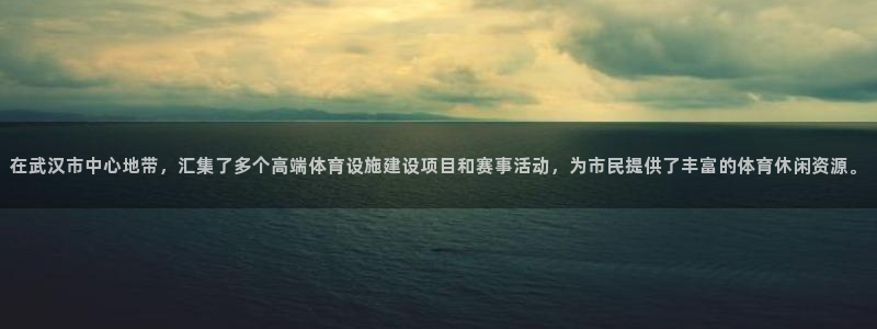 凯捷体育新能源：在武汉市中心地带，汇集了多个高端体育设施建设