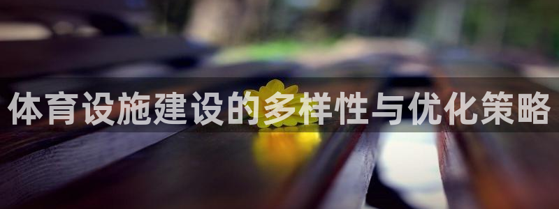 凯捷体育平台注册流程视频：体育设施建设的多样性与优化策略