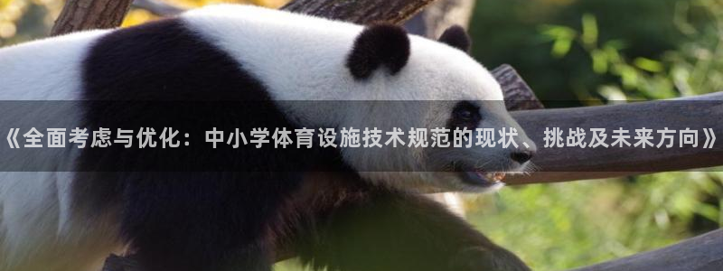 凯捷体育招商电话地址查询：《全面考虑与优化：中小学体育设施技