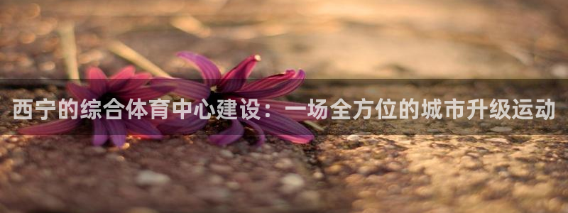 海南凯捷体育：西宁的综合体育中心建设：一场全方位的城