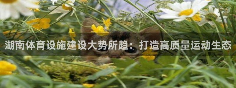 凯捷体育招商电话号码：湖南体育设施建设大势所趋：打造高质量运