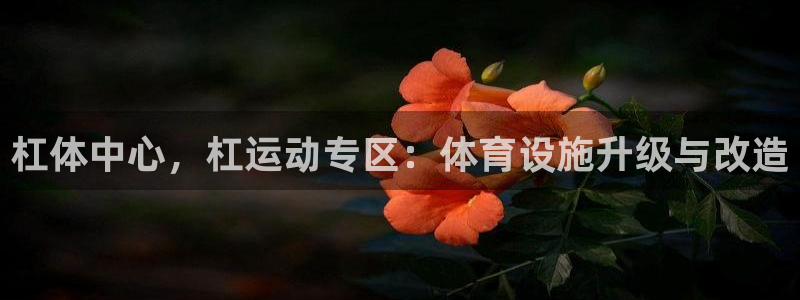 凯捷体育招商电话号码查询：杠体中心，杠运动专区：体育设施升级