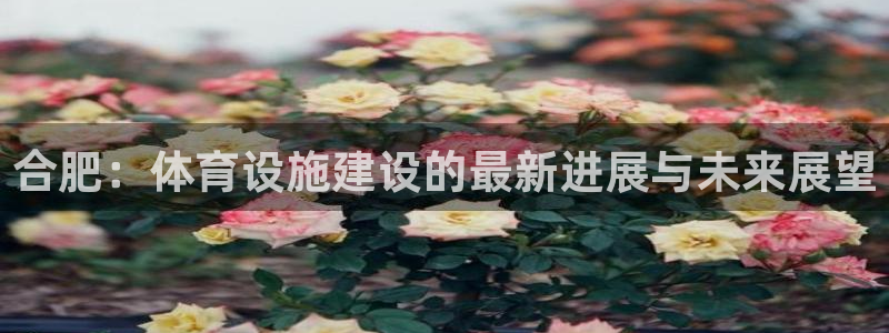 凯捷体育娱乐是那个系列的台子：合肥：体育设施建设的最新进展与