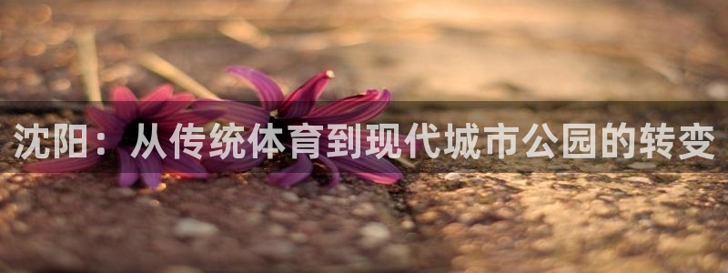 凯捷体育代理：沈阳：从传统体育到现代城市公园的转变 